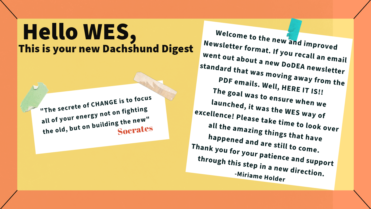 Notes about the new format for newletters